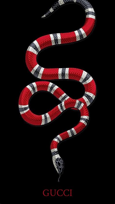 mp4 gucci snake